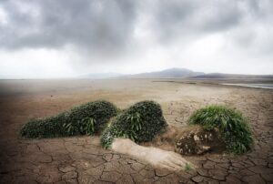 Galvanizing Grief from the Greatest Thing I Never Did