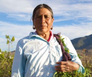 Women Who Heal