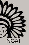 NCAI Endorses UN Declaration on the Rights of Indigenous Peoples